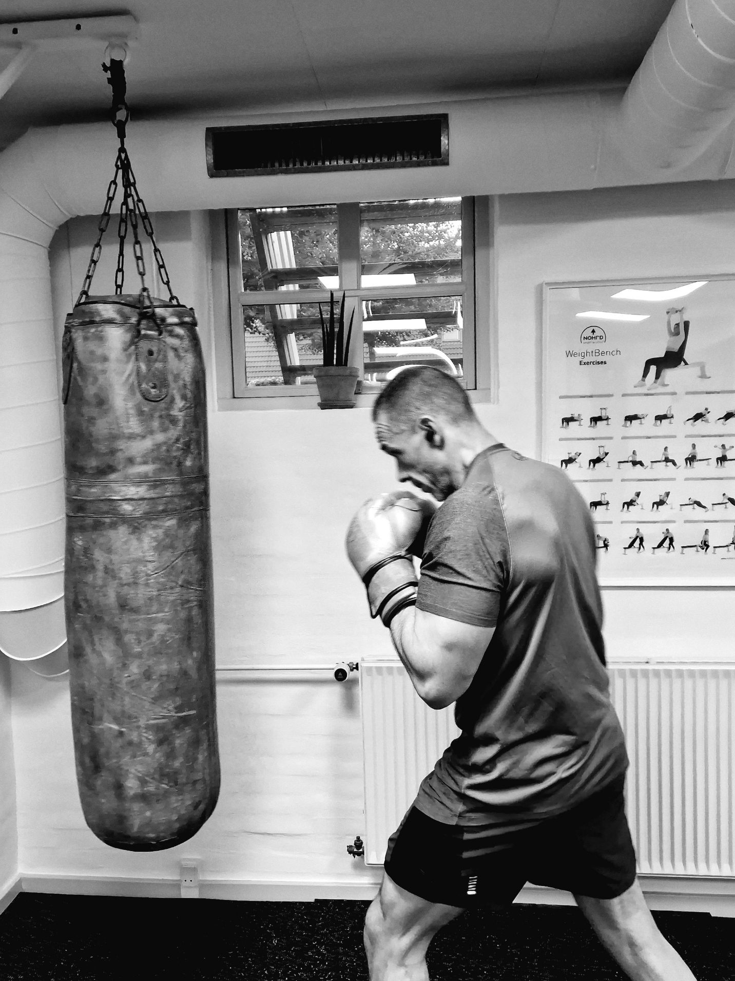 Entraînement
