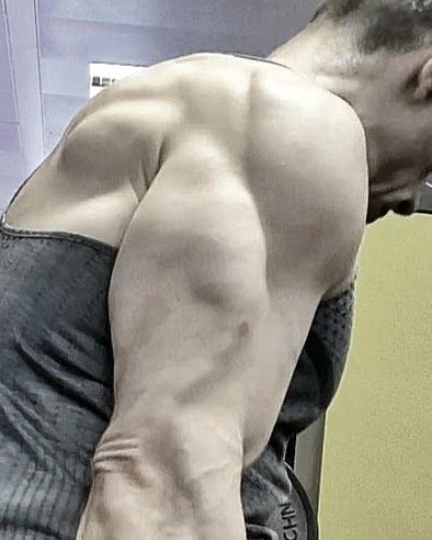 Équipements gym