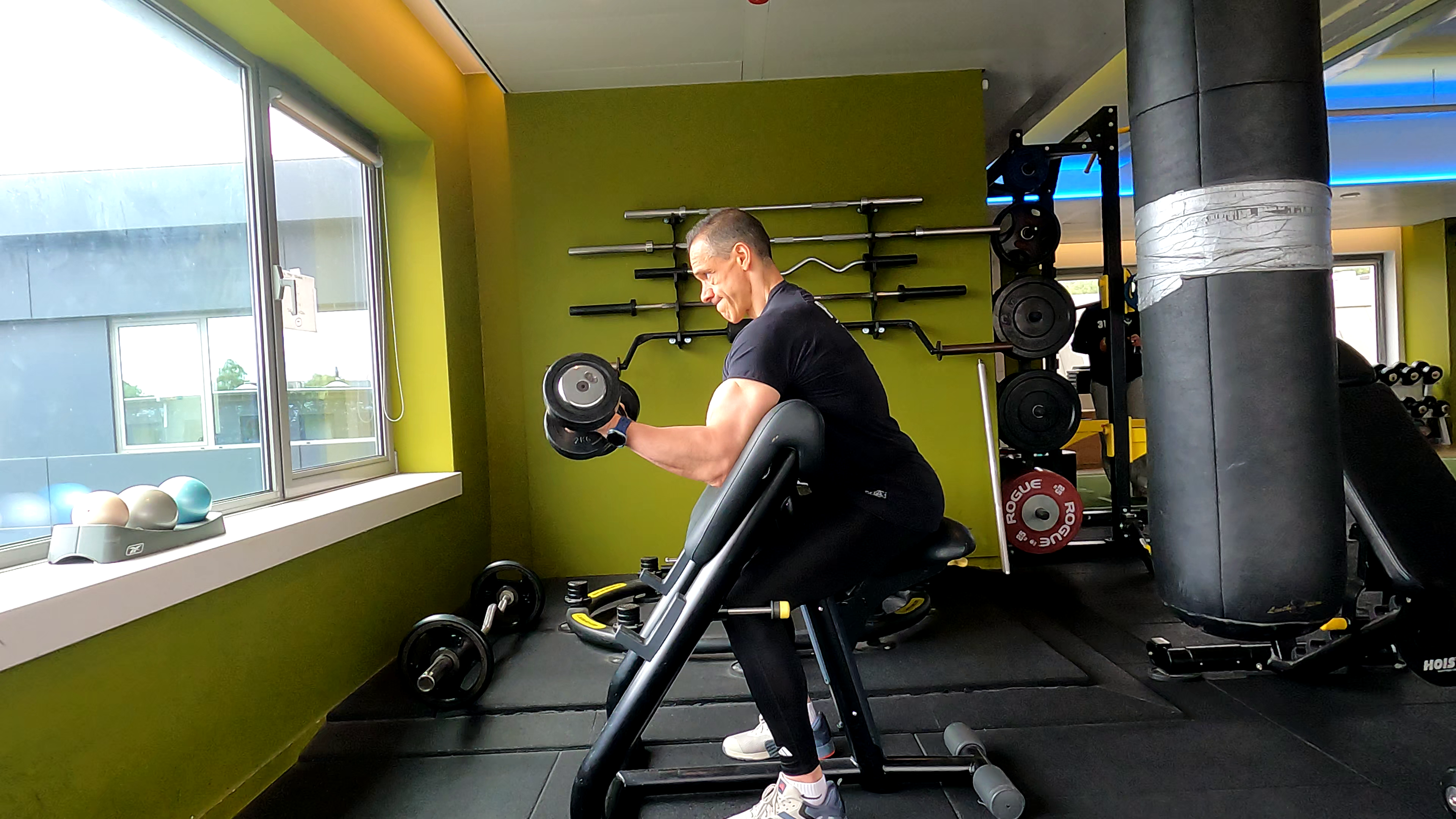 Bahri - curl haltère incliné biceps